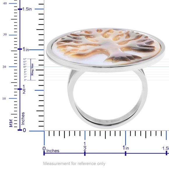 Natural  Shell Tree Ring Size 8.0 - Picture 3 of 3